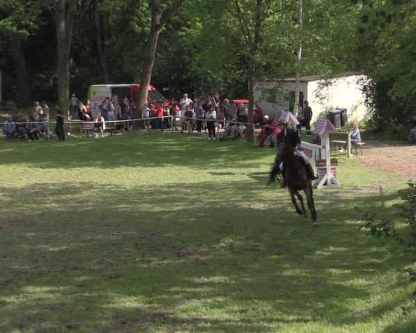 Reitturnier Helmsdorf 2022