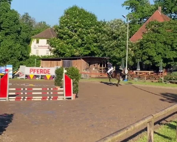 Reitturnier Schwabach/Mfr. 2022