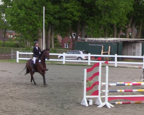 Reitturnier Mildstedt 2022
