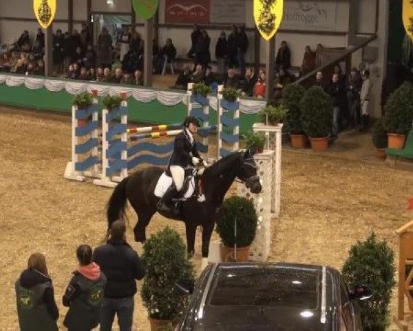 Dressurpferd Wieland (Trakehner, 1995, von Römer)