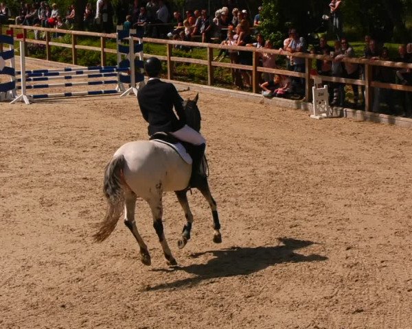 Reitturnier Ruhlsdorf 2022
