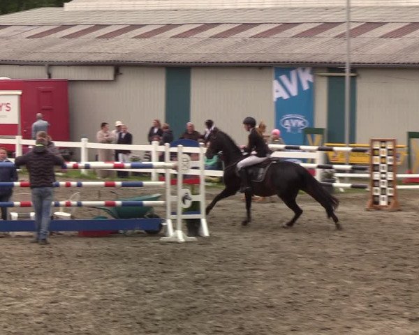 Reitturnier Mildstedt 2022