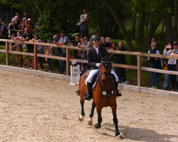 Reitturnier Ruhlsdorf 2022