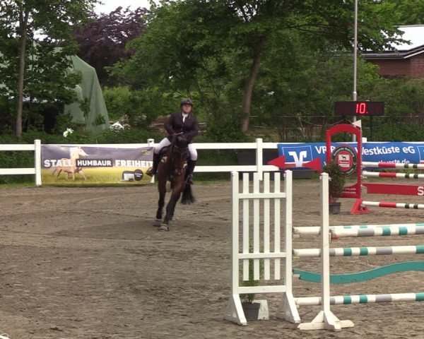 Reitturnier Mildstedt 2022