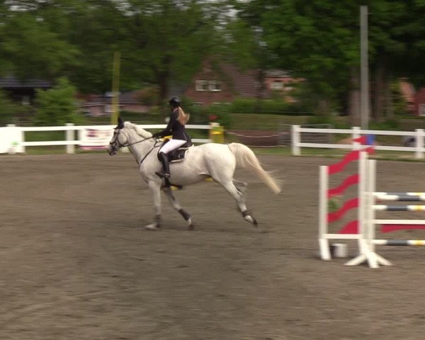 Reitturnier Mildstedt 2022