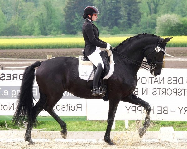 broodmare Infinity for Romance (Württemberger, 2015, from For Romance I)