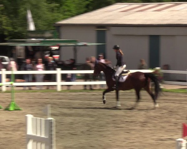 Reitturnier Mildstedt 2022