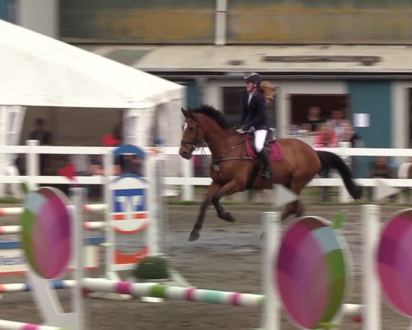 Reitturnier Mildstedt 2022