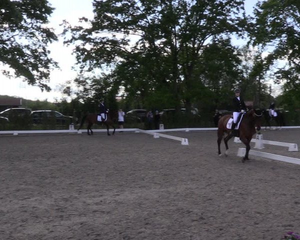 Reitturnier Schönwalde-Glien 2022