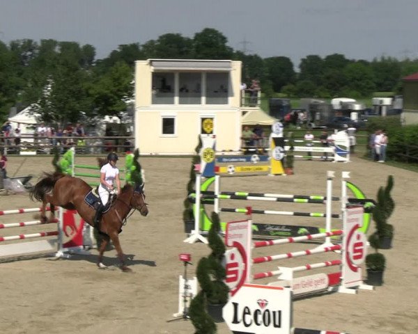 Reitturnier Kirchhellen/Stall Dieckmann 2022