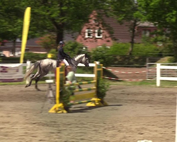 Reitturnier Mildstedt 2022