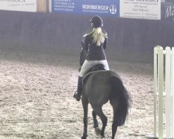 broodmare Mallalei (Oldenburg, 2003, from Balou du Rouet)