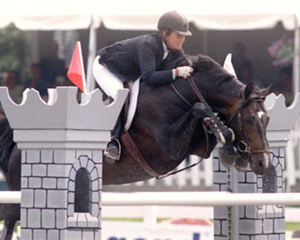 Deckhengst Cockney II (Holsteiner, 1989, von Calando IV)
