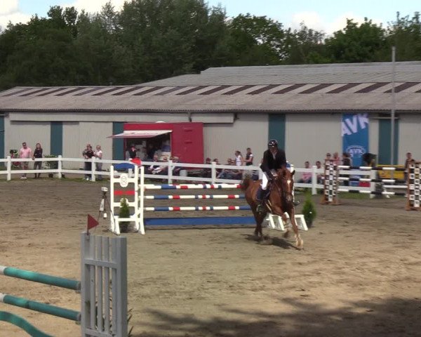 Reitturnier Mildstedt 2022