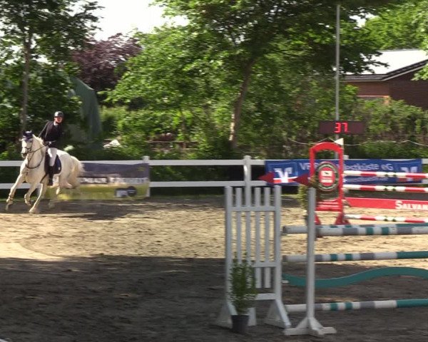 Reitturnier Mildstedt 2022