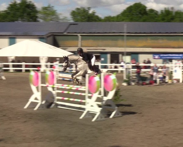 Reitturnier Mildstedt 2022