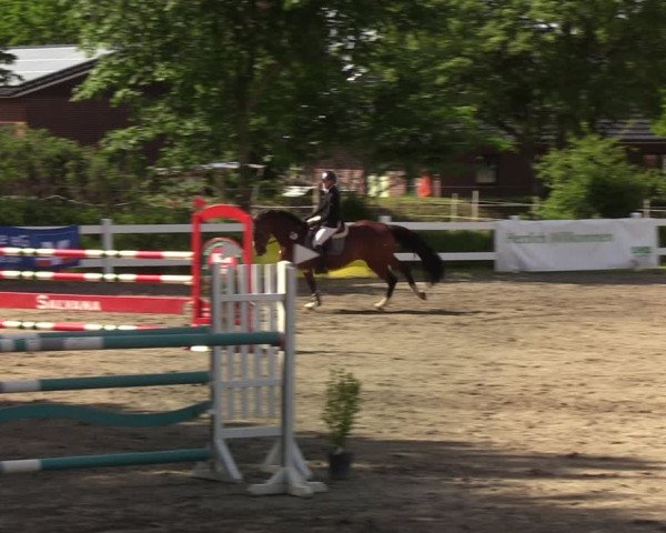Reitturnier Mildstedt 2022