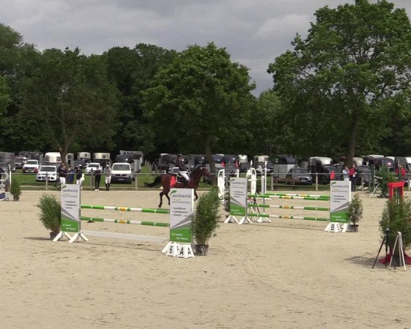 Reitturnier Nienberge-Schonebeck, Reitanlage Geßmann 2022