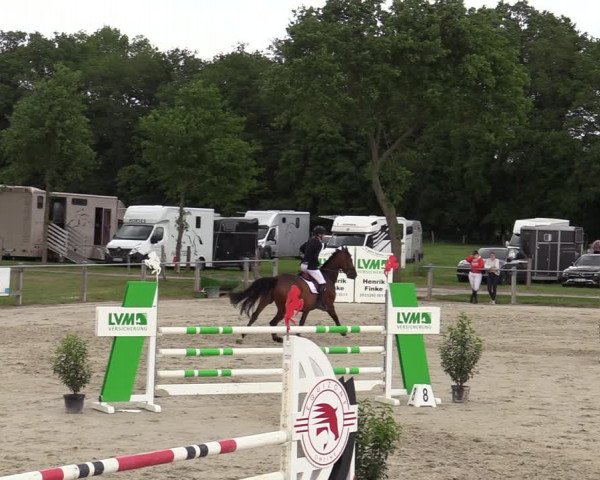 Reitturnier Nienberge-Schonebeck, Reitanlage Geßmann 2022