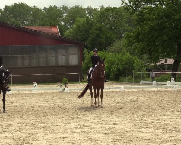 Reitturnier Nienberge-Schonebeck, Reitanlage Geßmann 2022