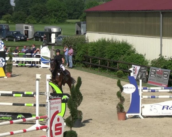 Reitturnier Kirchhellen/Stall Dieckmann 2022