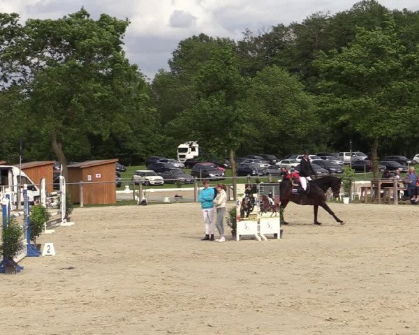 Reitturnier Nienberge-Schonebeck, Reitanlage Geßmann 2022