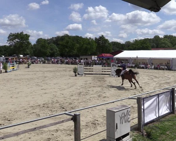 Reitturnier Nienberge-Schonebeck, Reitanlage Geßmann 2022