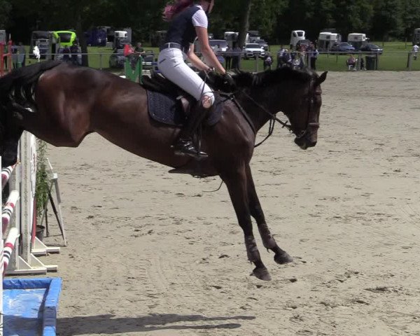 Reitturnier Nienberge-Schonebeck, Reitanlage Geßmann 2022