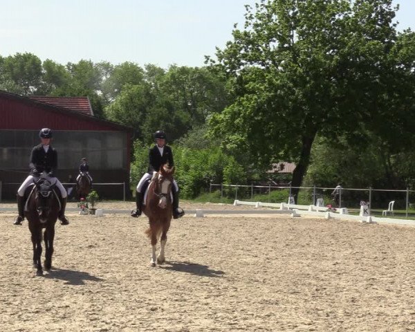 Reitturnier Nienberge-Schonebeck, Reitanlage Geßmann 2022