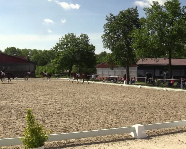 Reitturnier Nienberge-Schonebeck, Reitanlage Geßmann 2022