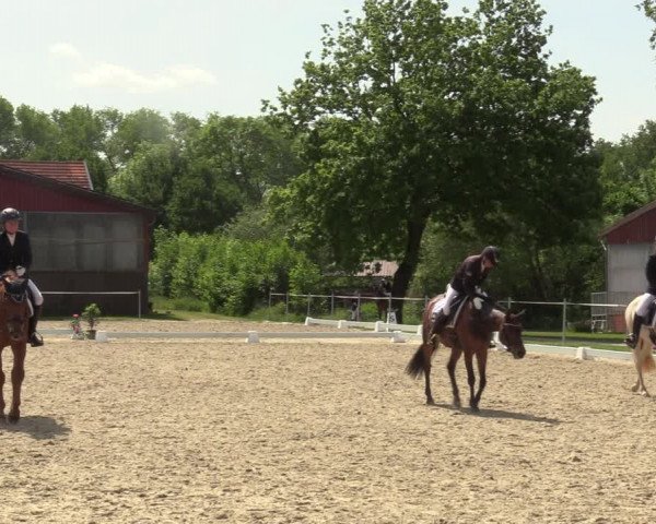 Reitturnier Nienberge-Schonebeck, Reitanlage Geßmann 2022