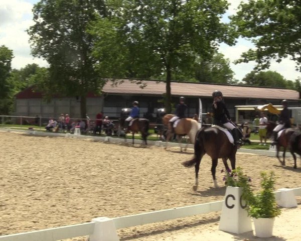Reitturnier Nienberge-Schonebeck, Reitanlage Geßmann 2022