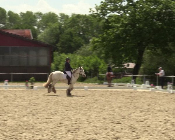 Reitturnier Nienberge-Schonebeck, Reitanlage Geßmann 2022