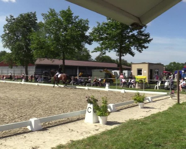 Reitturnier Nienberge-Schonebeck, Reitanlage Geßmann 2022