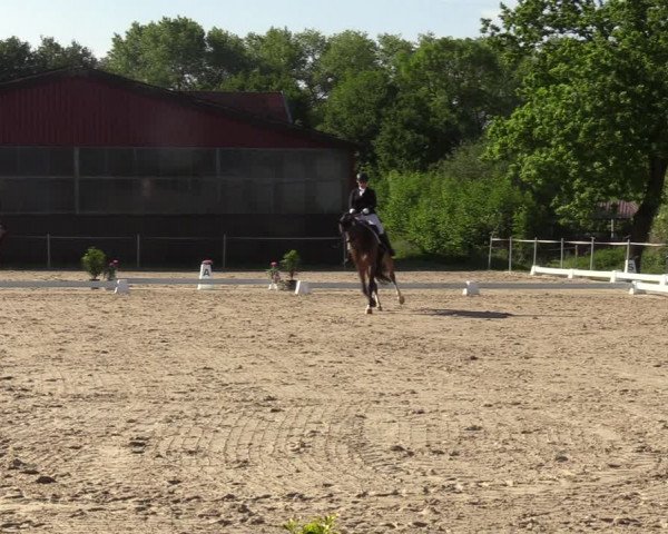 Reitturnier Nienberge-Schonebeck, Reitanlage Geßmann 2022