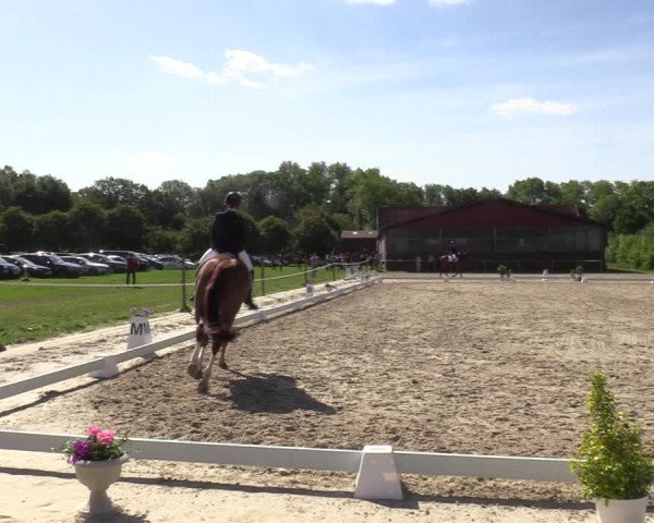 Reitturnier Nienberge-Schonebeck, Reitanlage Geßmann 2022
