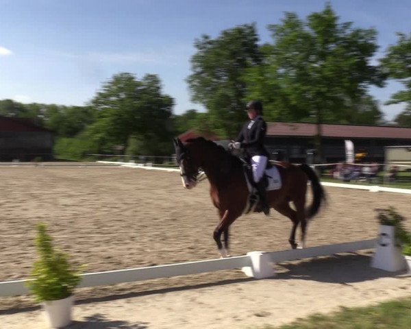 Reitturnier Nienberge-Schonebeck, Reitanlage Geßmann 2022