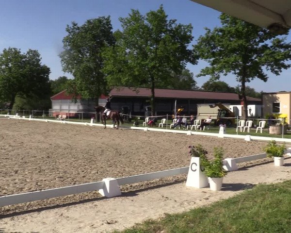 Reitturnier Nienberge-Schonebeck, Reitanlage Geßmann 2022