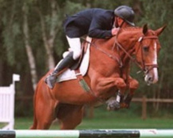 broodmare Jit'Sous du Tillard (Selle Français, 1997, from Quat'Sous)