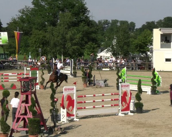 Reitturnier Kirchhellen/Stall Dieckmann 2022