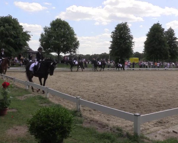 Reitturnier Coesfeld/Lette 2022