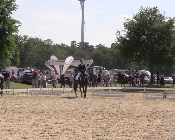 Reitturnier Coesfeld/Lette 2022