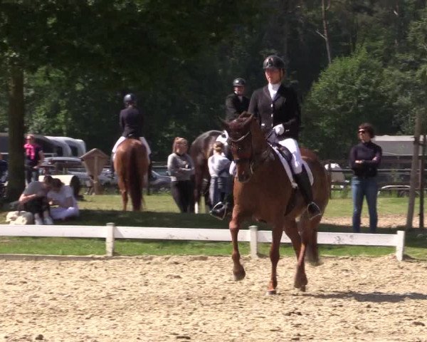Reitturnier Coesfeld/Lette 2022