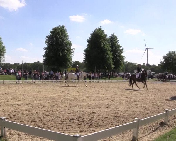 Reitturnier Coesfeld/Lette 2022