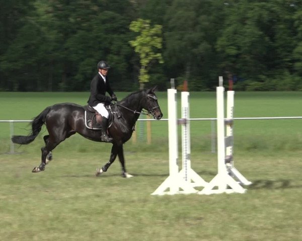 Reitturnier Alvern 2022