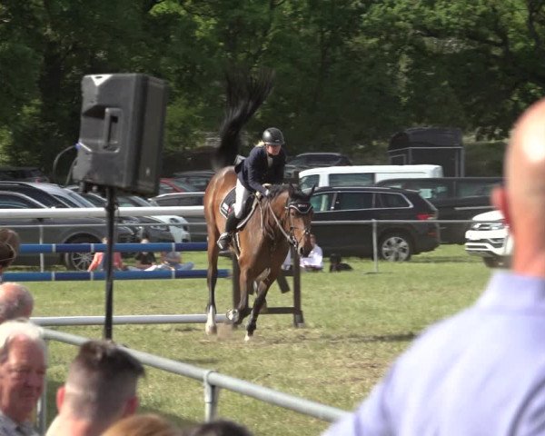 Reitturnier Alvern 2022