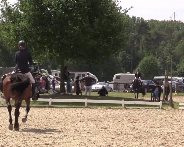 Reitturnier Coesfeld/Lette 2022