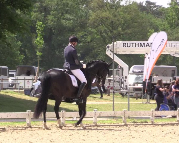 Reitturnier Coesfeld/Lette 2022