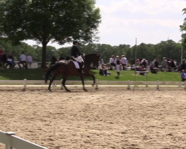 Reitturnier Coesfeld/Lette 2022