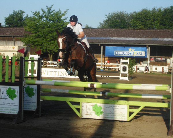 jumper Amenita (Hanoverian, 2004, from Advocat)